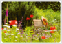 Postcard | favorite spot in the summer garden_