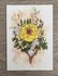 Wildgardens Postcard - Yellow Rose_