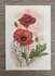 Wildgardens Postcard - Poppy_