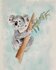 Wildgardens Postcard - Koala_