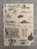 Wildgardens Postcard - Coffee_