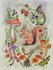 Wildgardens Postcard - Autumn_