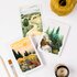 Wild Pencil Studio Set of 3 Postcards - Landscapes_