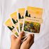 Wild Pencil Studio Set of 3 Postcards - Landscapes_