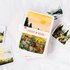 Wild Pencil Studio Set of 3 Postcards - Landscapes_