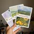Wild Pencil Studio Set of 3 Postcards - Landscapes II_