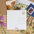 Asia Spettel 12x12 Postcard - cinnamon rolls_