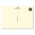 Studio Kvinna A6 Postcard - Little hedgehog with pine cone_