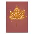 Studio Kvinna A6 Postcard - Autumn leaf with drawing_
