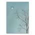 Studio Kvinna A6 Postcard - Birdlight_