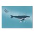 Studio Kvinna A6 Postcard - Whale_