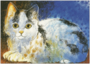Postcard Loes Botman | Kitten_
