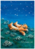 Postcard 497 by Katja Saario - Watching the Stars_