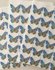 Fotohoekjes Stickers Vlinder | Blauw met Libelles_