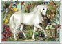 PK 495 Tausendschön Postcard | White Horse_
