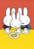 Nijntje Miffy Postcards | Familie Pluis_