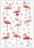 Postcard | Flamingo_