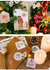 Sticker Flakes Box | Merry Christmas_