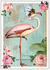 PK 702 Tausendschön Postcard | Flamingo_